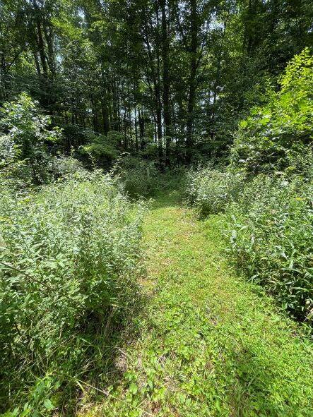 2113 Union School Road Southwest Willis, VA 24380 - Photo 39 of 47 41