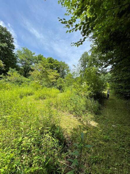 2113 Union School Road Southwest Willis, VA 24380 - Photo 41 of 47 43