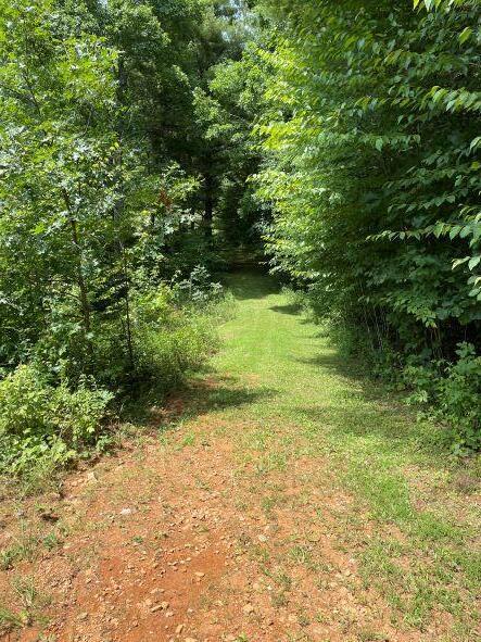 2113 Union School Road Southwest Willis, VA 24380 - Photo 43 of 47 45