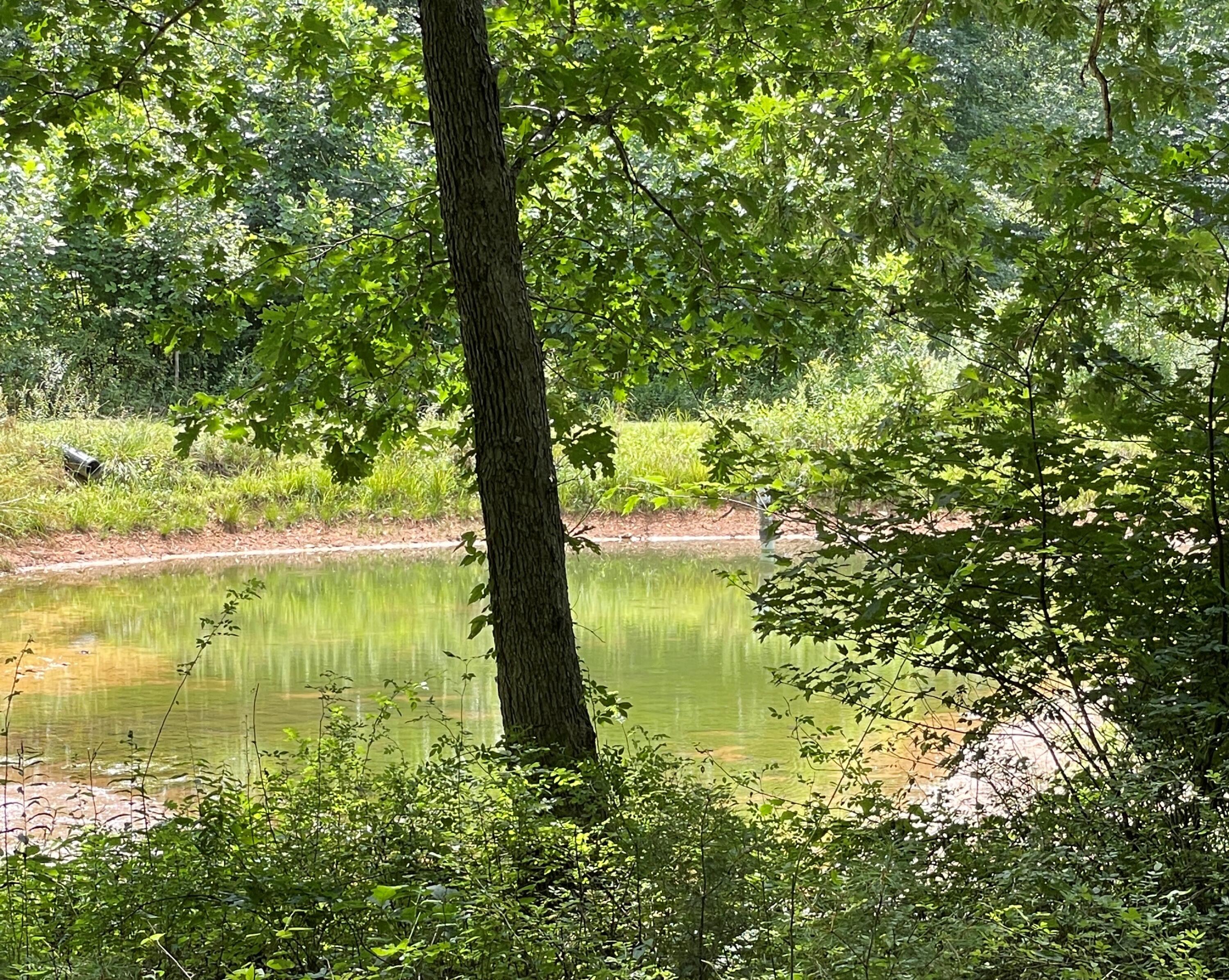 2113 Union School Road Southwest Willis, VA 24380 - Photo 45 of 47 47