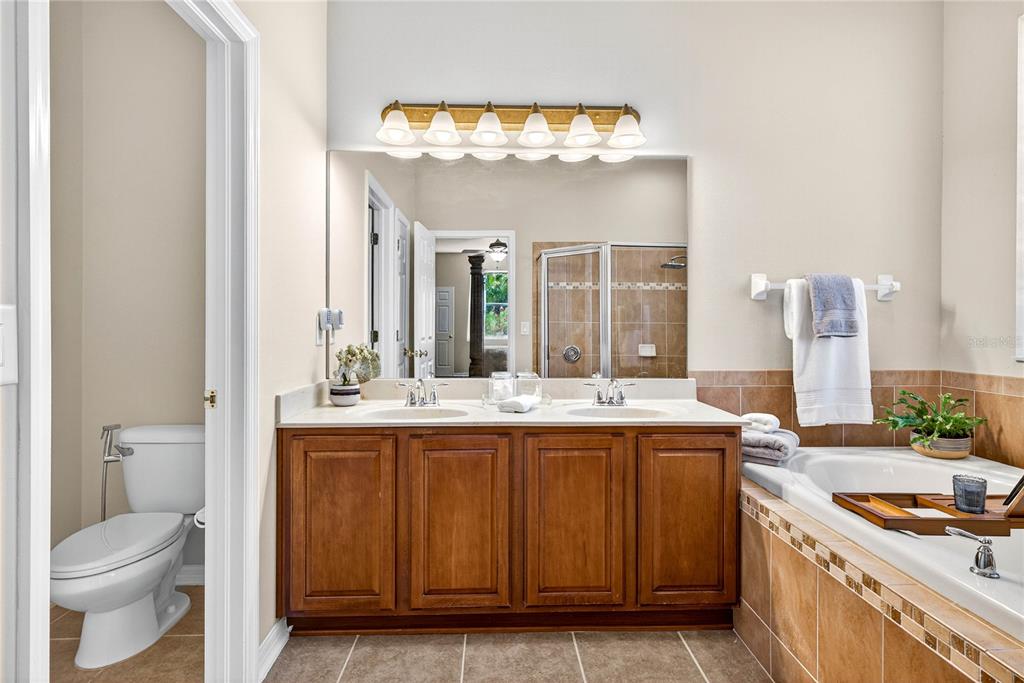 10859 Breaking Rocks Drive Tampa, FL 33647 - Photo 24 of 57 a bathroom with a granite countertop sink and a mirror