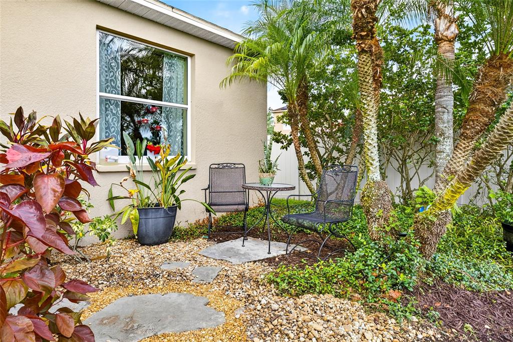 10859 Breaking Rocks Drive Tampa, FL 33647 - Photo 41 of 57 a potted plant sitting in front of a house