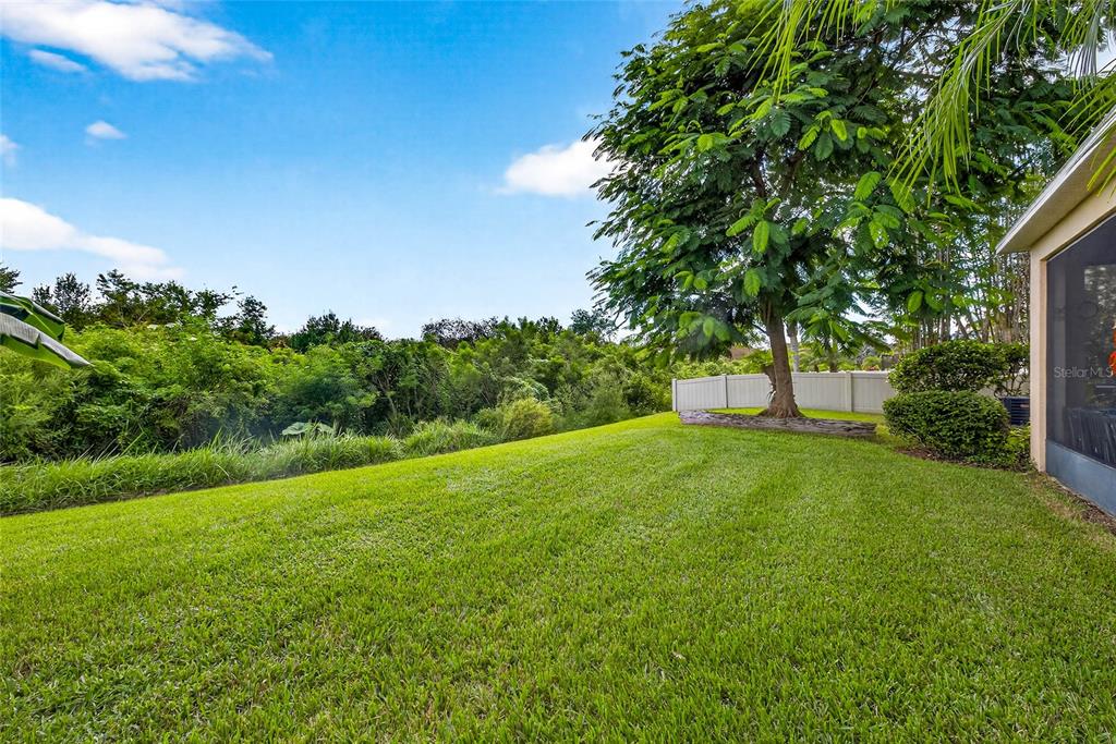 10859 Breaking Rocks Drive Tampa, FL 33647 - Photo 42 of 57 a view of green field with trees in the background