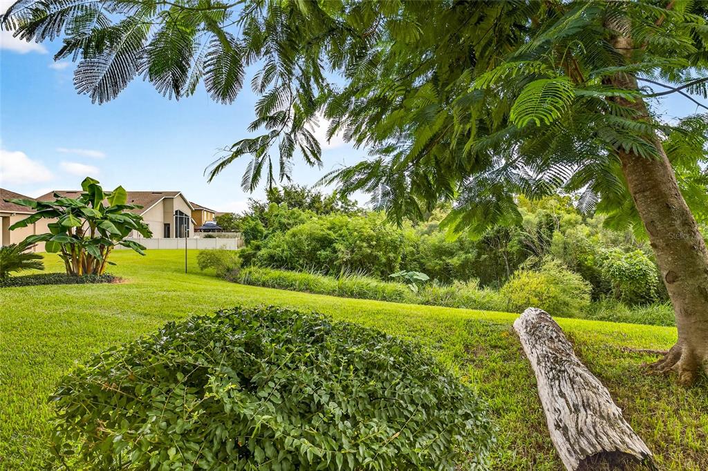 10859 Breaking Rocks Drive Tampa, FL 33647 - Photo 43 of 57