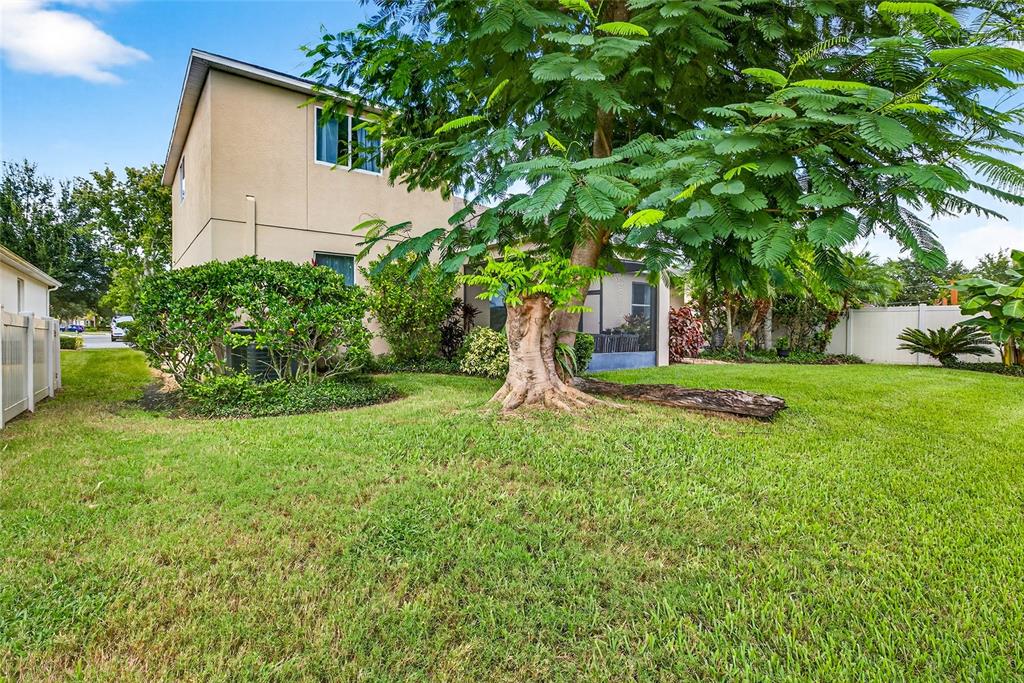 10859 Breaking Rocks Drive Tampa, FL 33647 - Photo 45 of 57 a backyard of a house with plants and large tree