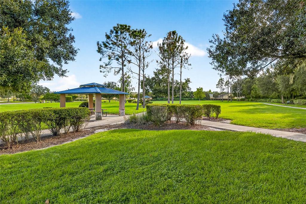 10859 Breaking Rocks Drive Tampa, FL 33647 - Photo 52 of 57 a view of a park with large trees and a big yard