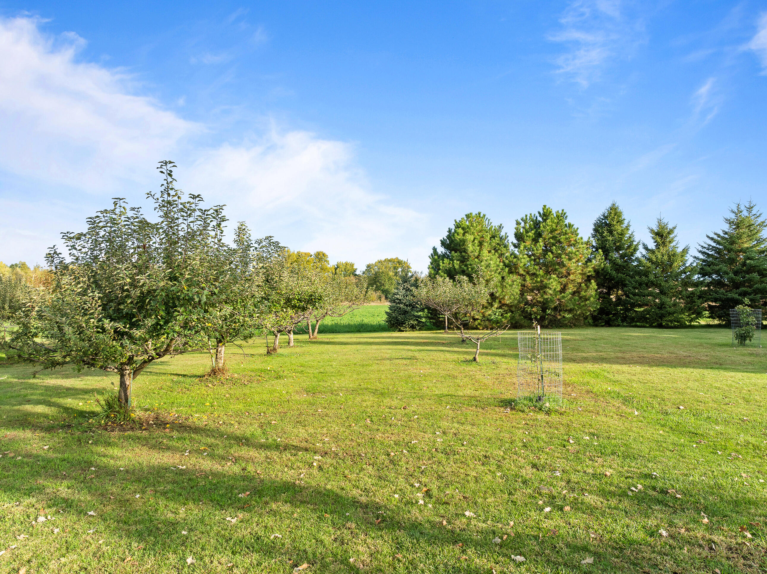4363 County Rd O Delavan, WI 53115 - Photo 52 of 59 Back yard