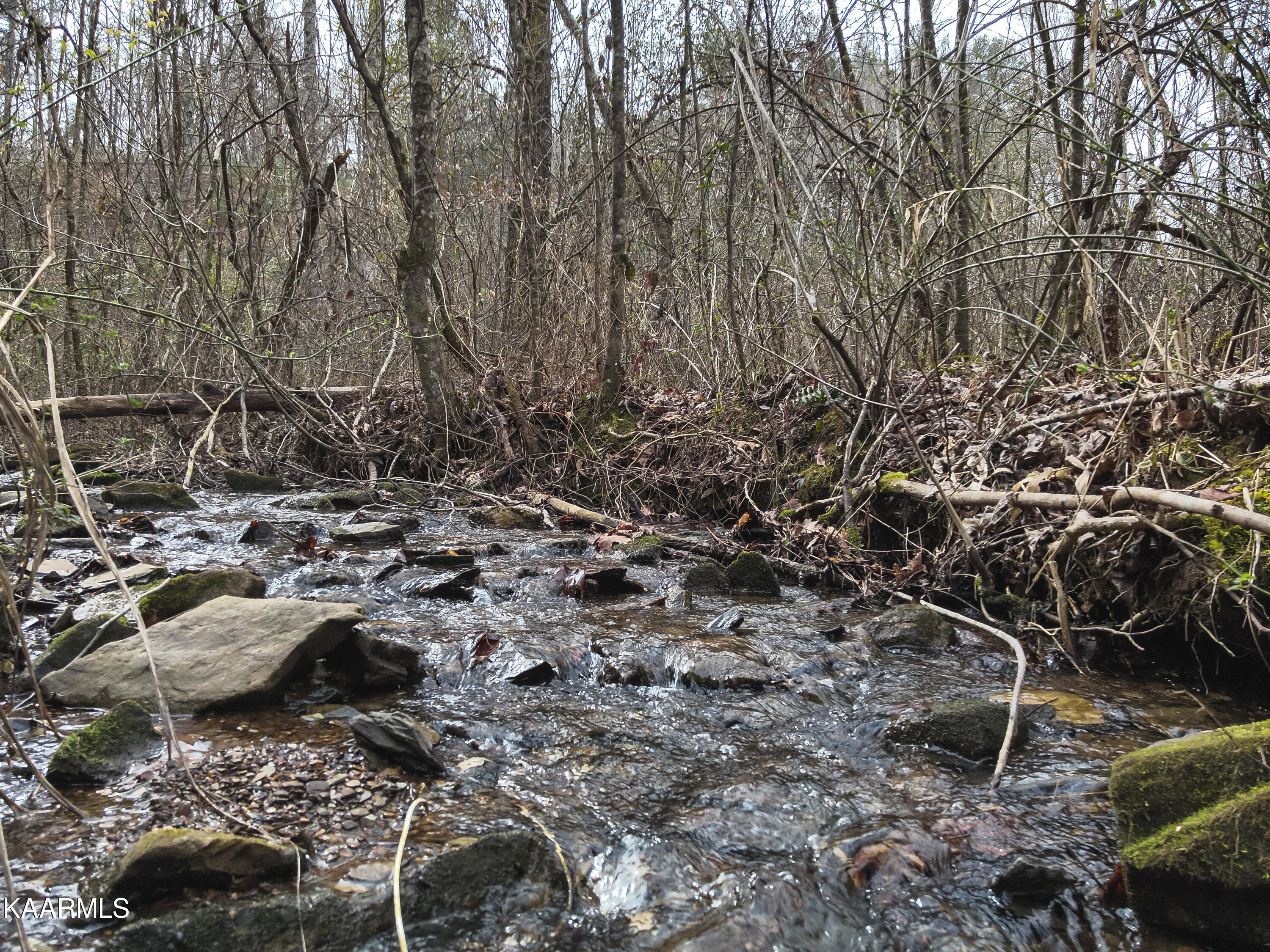 Tbd Pine Grove Road Tellico Plains, TN 37385 - Photo 1 of 34 30. Creek