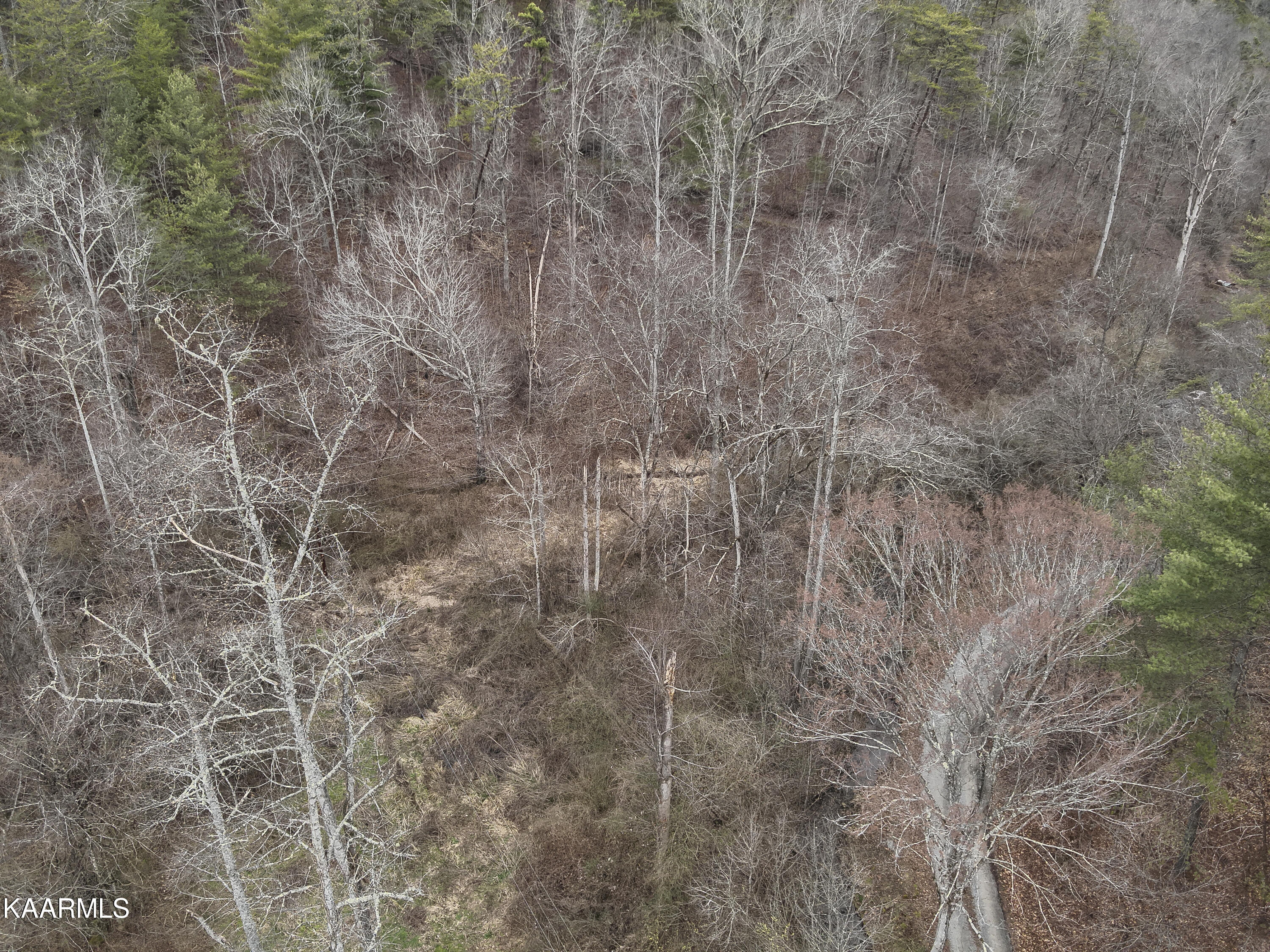 Tbd Pine Grove Road Tellico Plains, TN 37385 - Photo 11 of 34 7. 100 ft