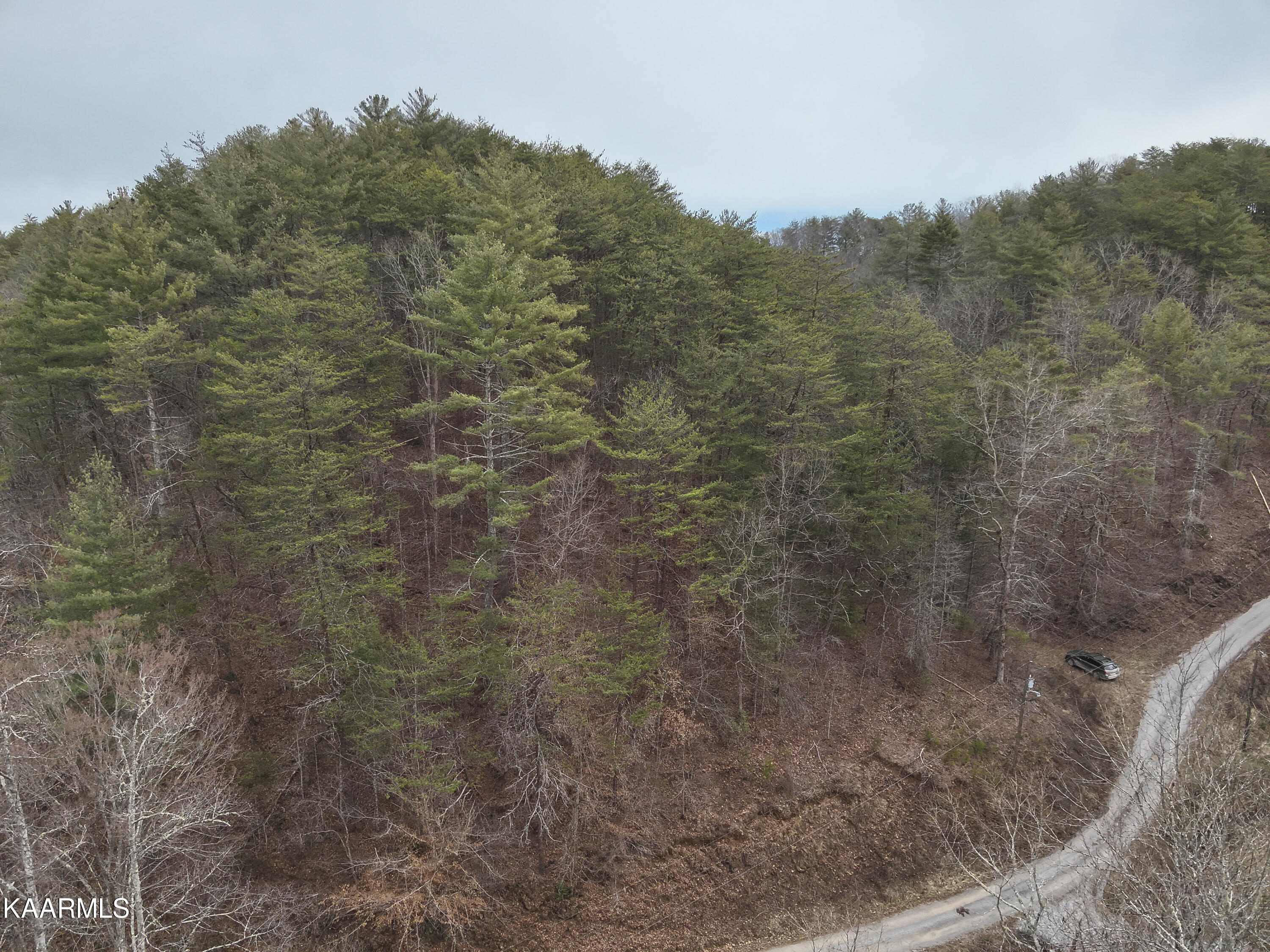 Tbd Pine Grove Road Tellico Plains, TN 37385 - Photo 12 of 34 8. 100 ft