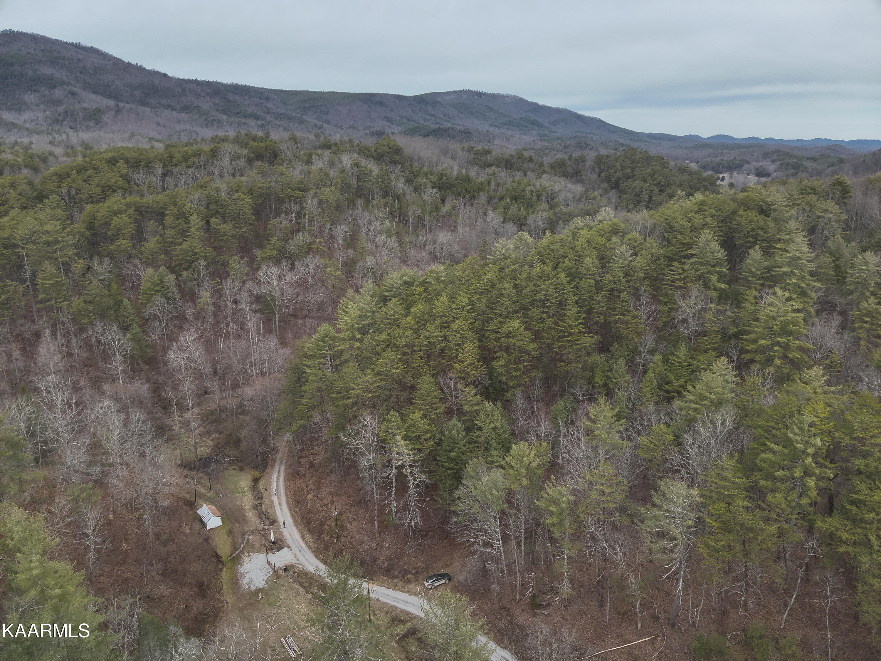 Tbd Pine Grove Road Tellico Plains, TN 37385 - Photo 13 of 34 9. 200 ft SW