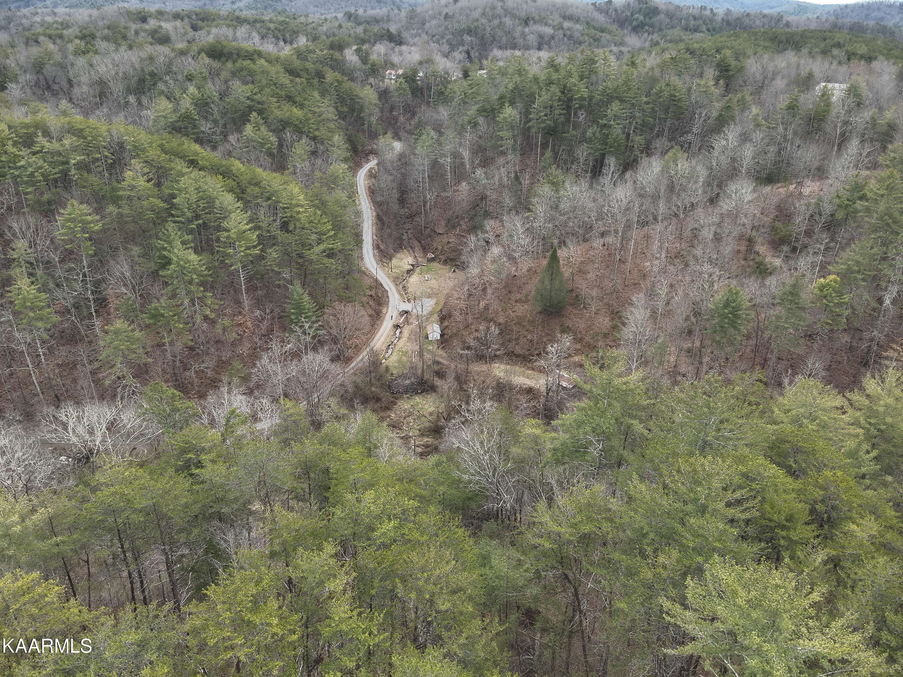 Tbd Pine Grove Road Tellico Plains, TN 37385 - Photo 16 of 34 12. 200 ft N