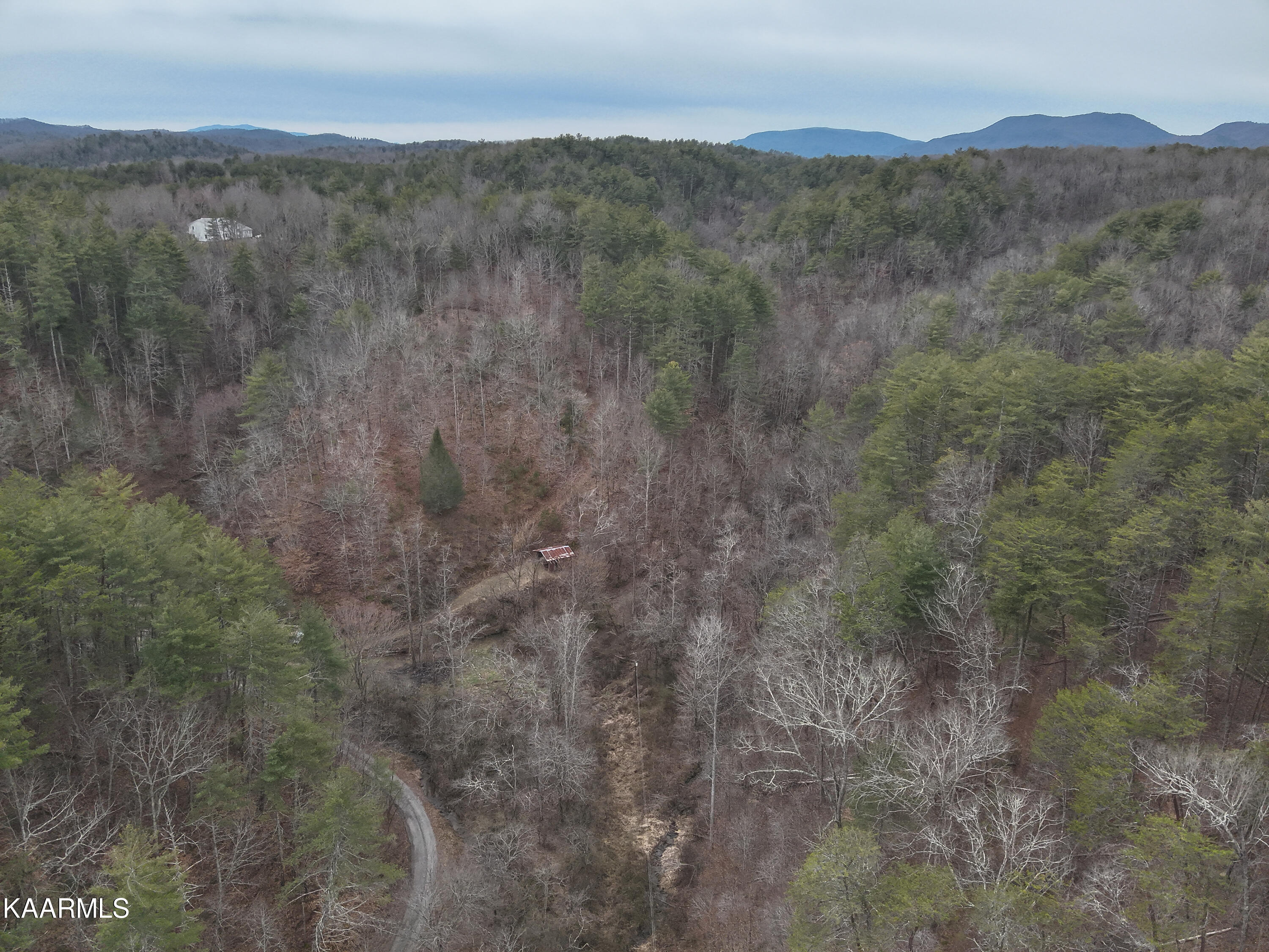 Tbd Pine Grove Road Tellico Plains, TN 37385 - Photo 18 of 34 14. 200 ft E