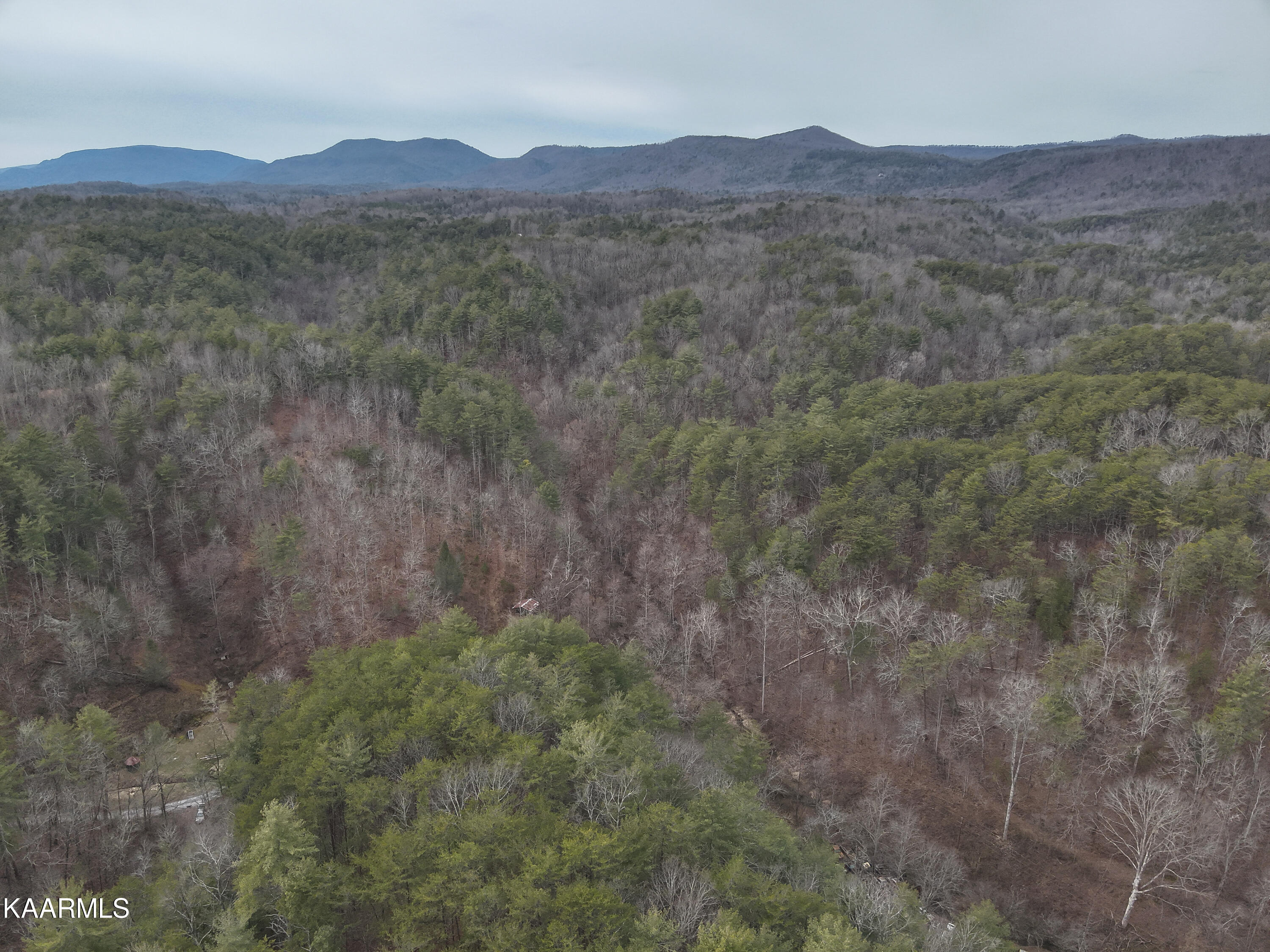 Tbd Pine Grove Road Tellico Plains, TN 37385 - Photo 27 of 34 23. 400 ft SE