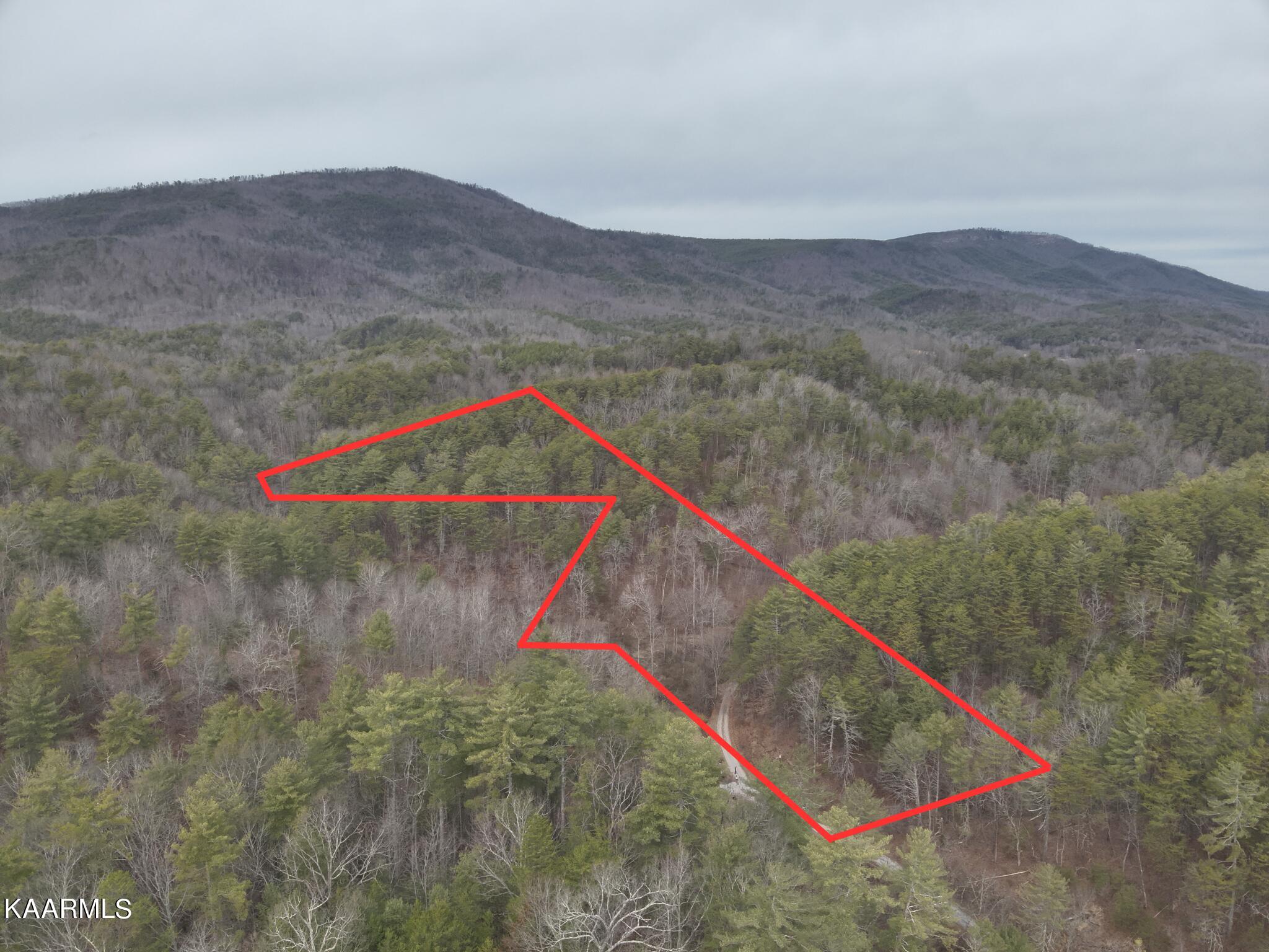 Tbd Pine Grove Road Tellico Plains, TN 37385 - Photo 29 of 34 25. Property Line
