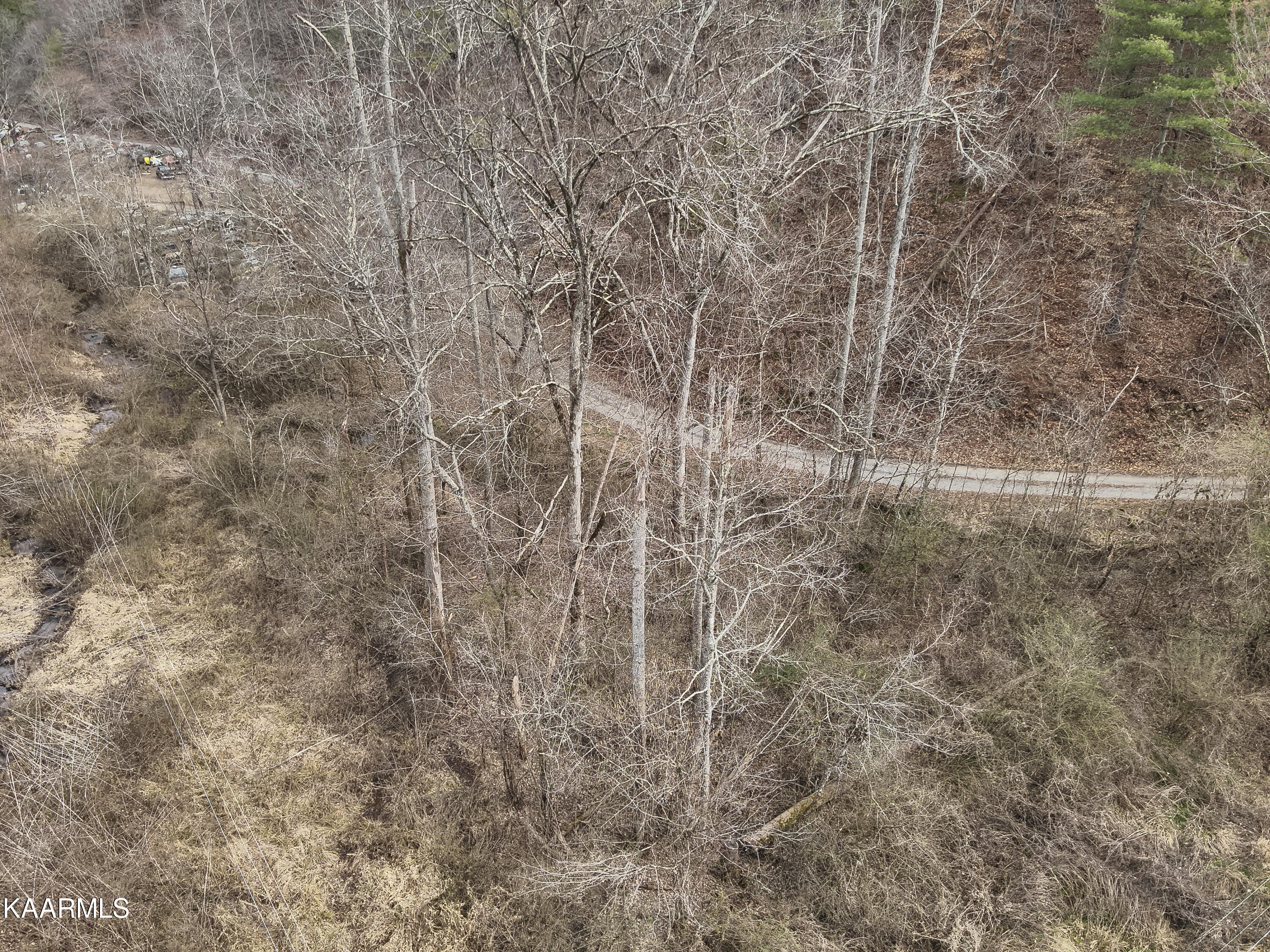 Tbd Pine Grove Road Tellico Plains, TN 37385 - Photo 32 of 34 29. Aerial View