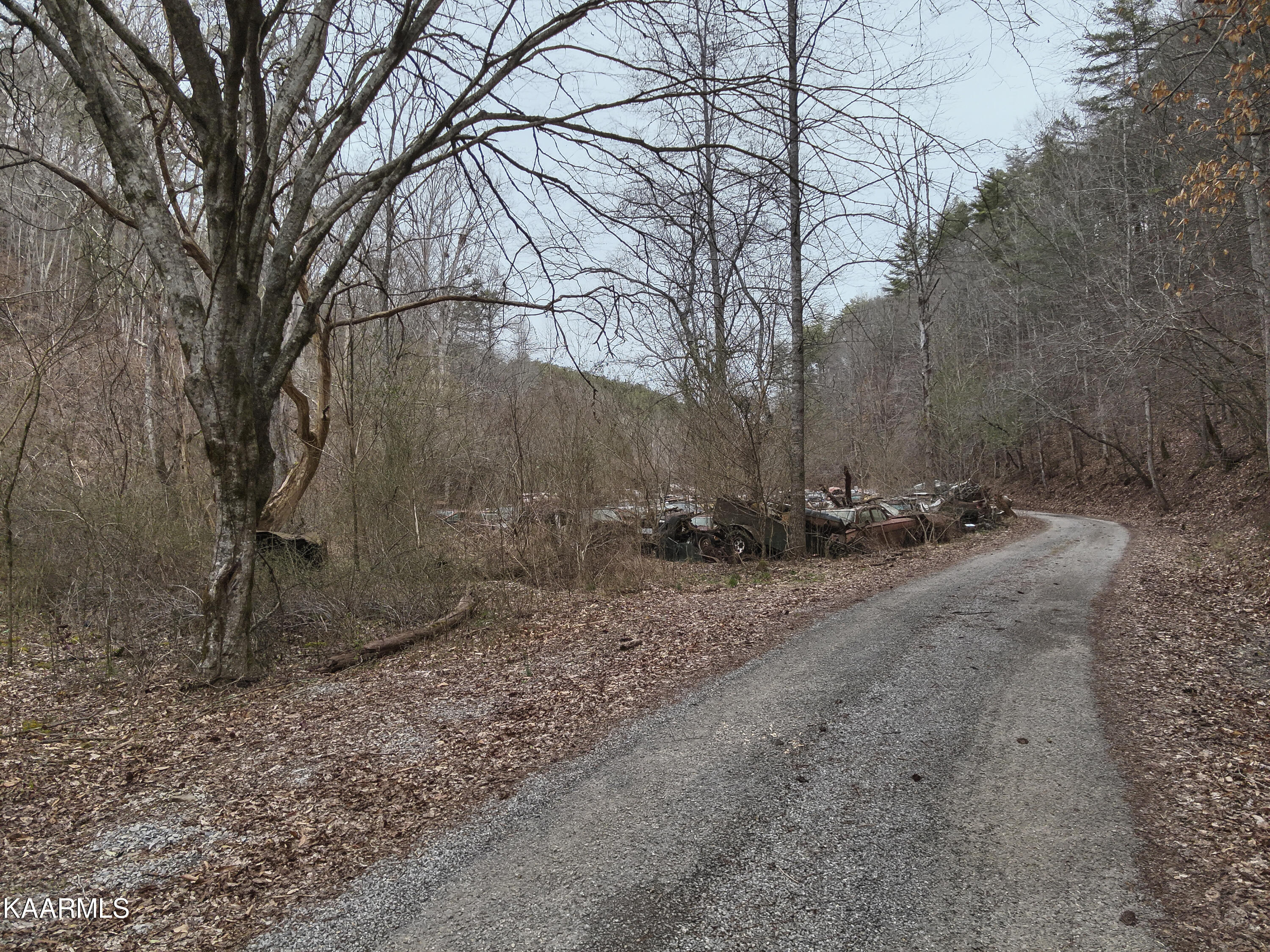 Tbd Pine Grove Road Tellico Plains, TN 37385 - Photo 33 of 34 31. Neighbors