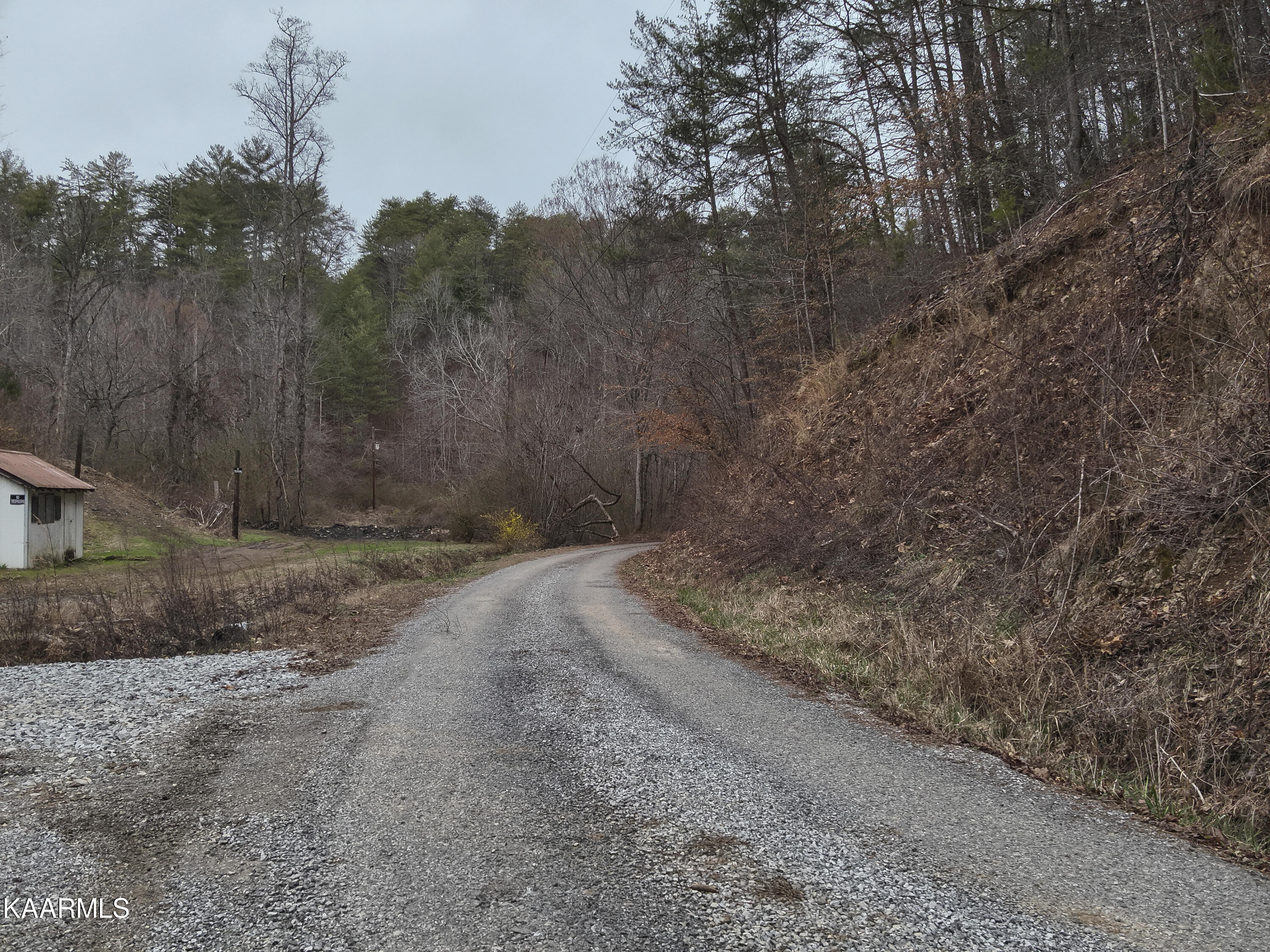 Tbd Pine Grove Road Tellico Plains, TN 37385 - Photo 6 of 34 1. Street View