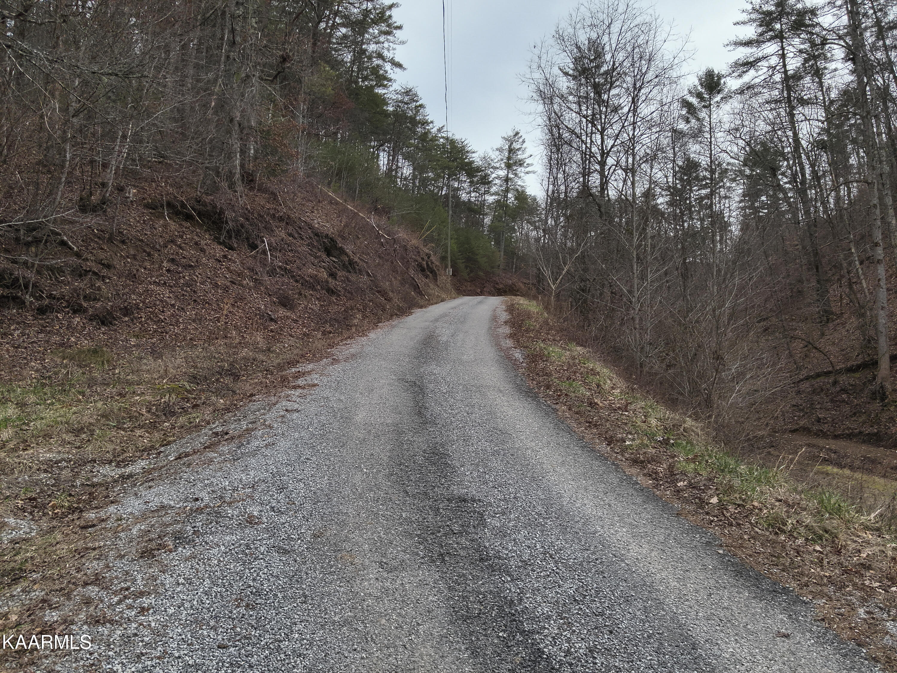 Tbd Pine Grove Road Tellico Plains, TN 37385 - Photo 7 of 34 2. Street View