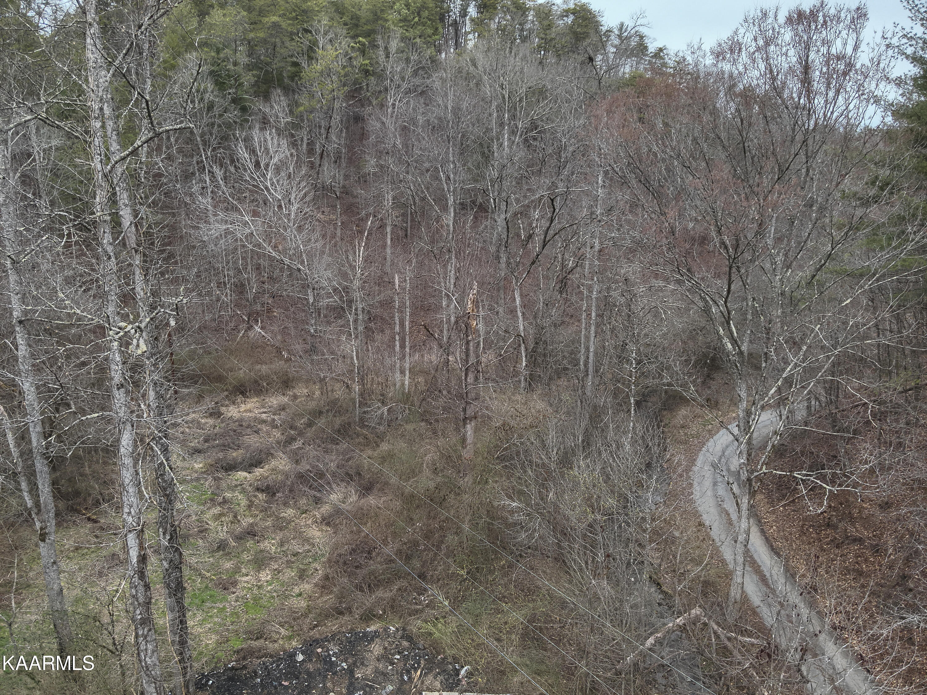 Tbd Pine Grove Road Tellico Plains, TN 37385 - Photo 9 of 34 5. 50 ft