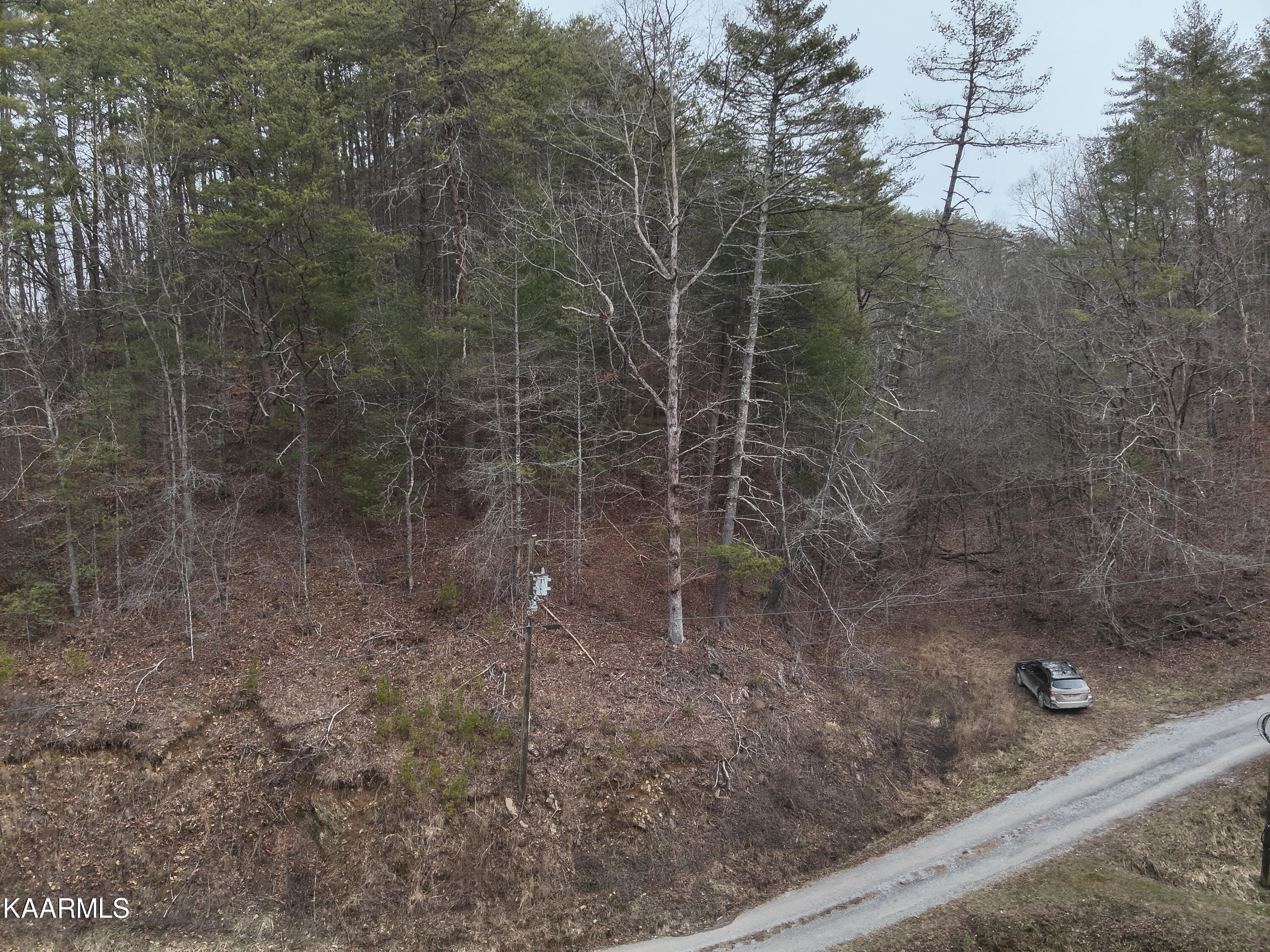 Tbd Pine Grove Road Tellico Plains, TN 37385 - Photo 10 of 34 6. 50 ft