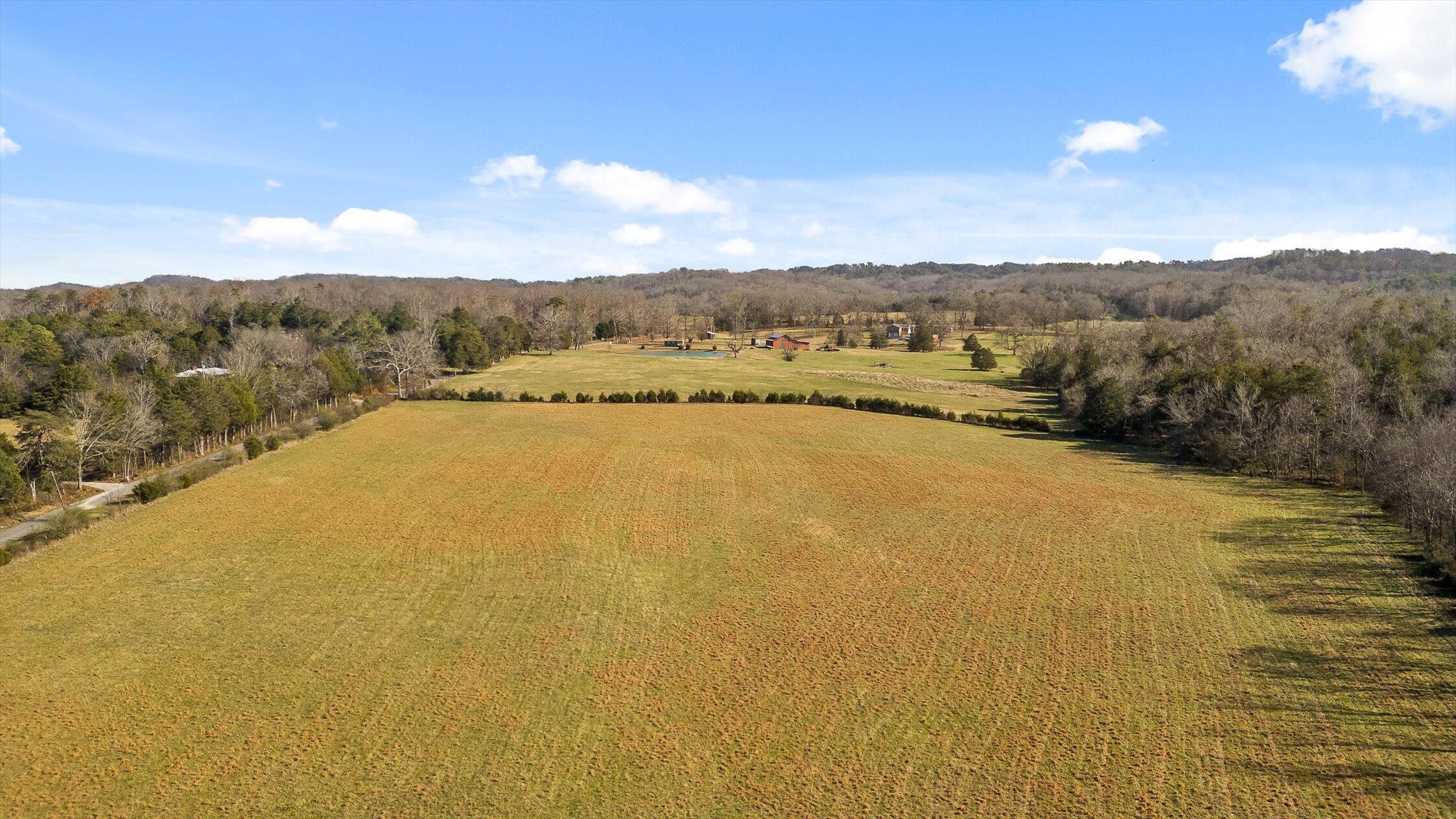 0 Brock Road Chickamauga, GA 30707 - Photo 13 of 15 Flat and in pasture