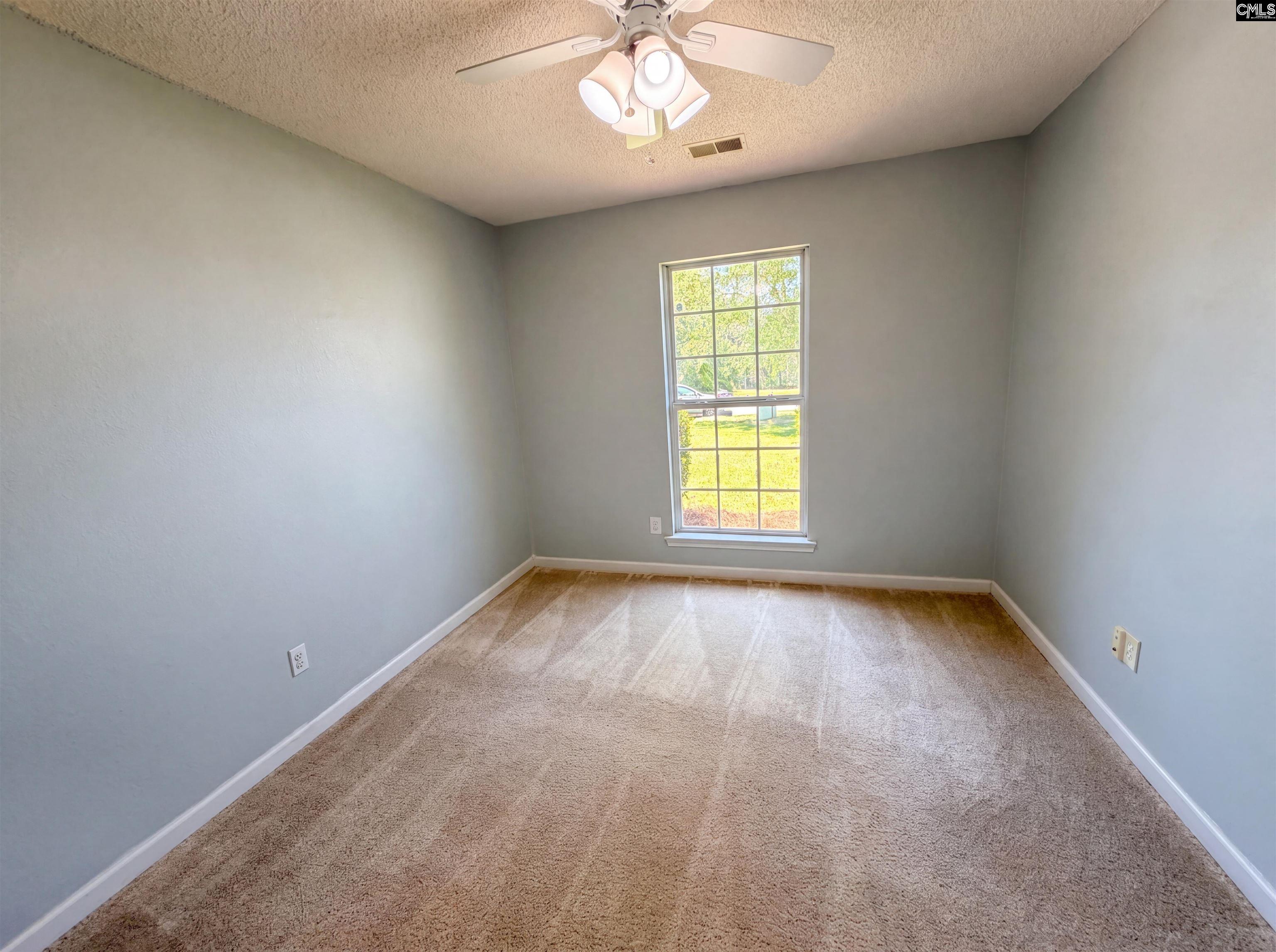 3 Summer Branch Court Irmo, SC 29063 - Photo 14 of 28