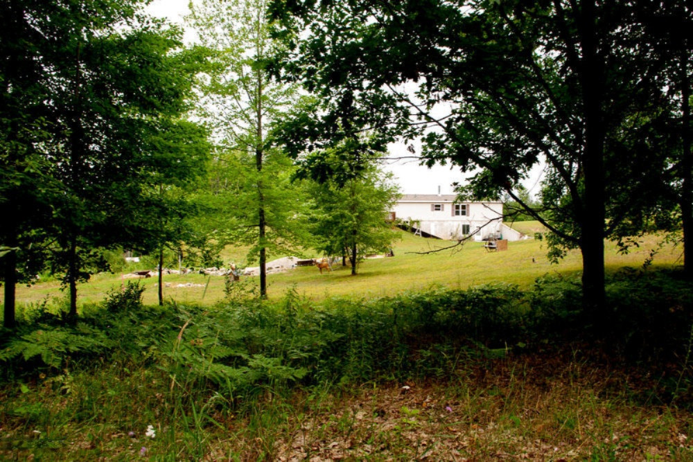 849 22 Mile Road Barryton, MI 49305 - Photo 15 of 34 00000032
