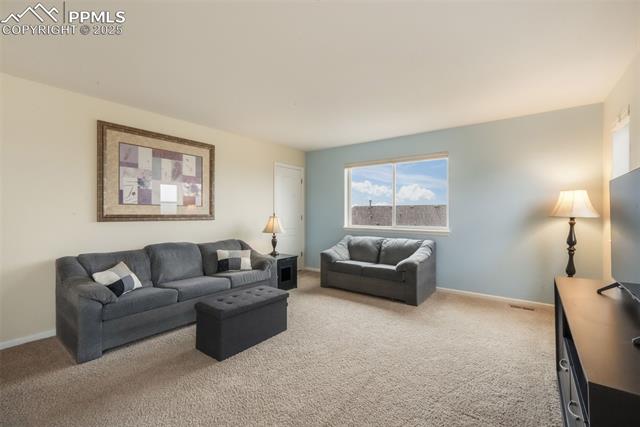 823 Spectrum Loop Colorado Springs, CO 80921 - Photo 18 of 50