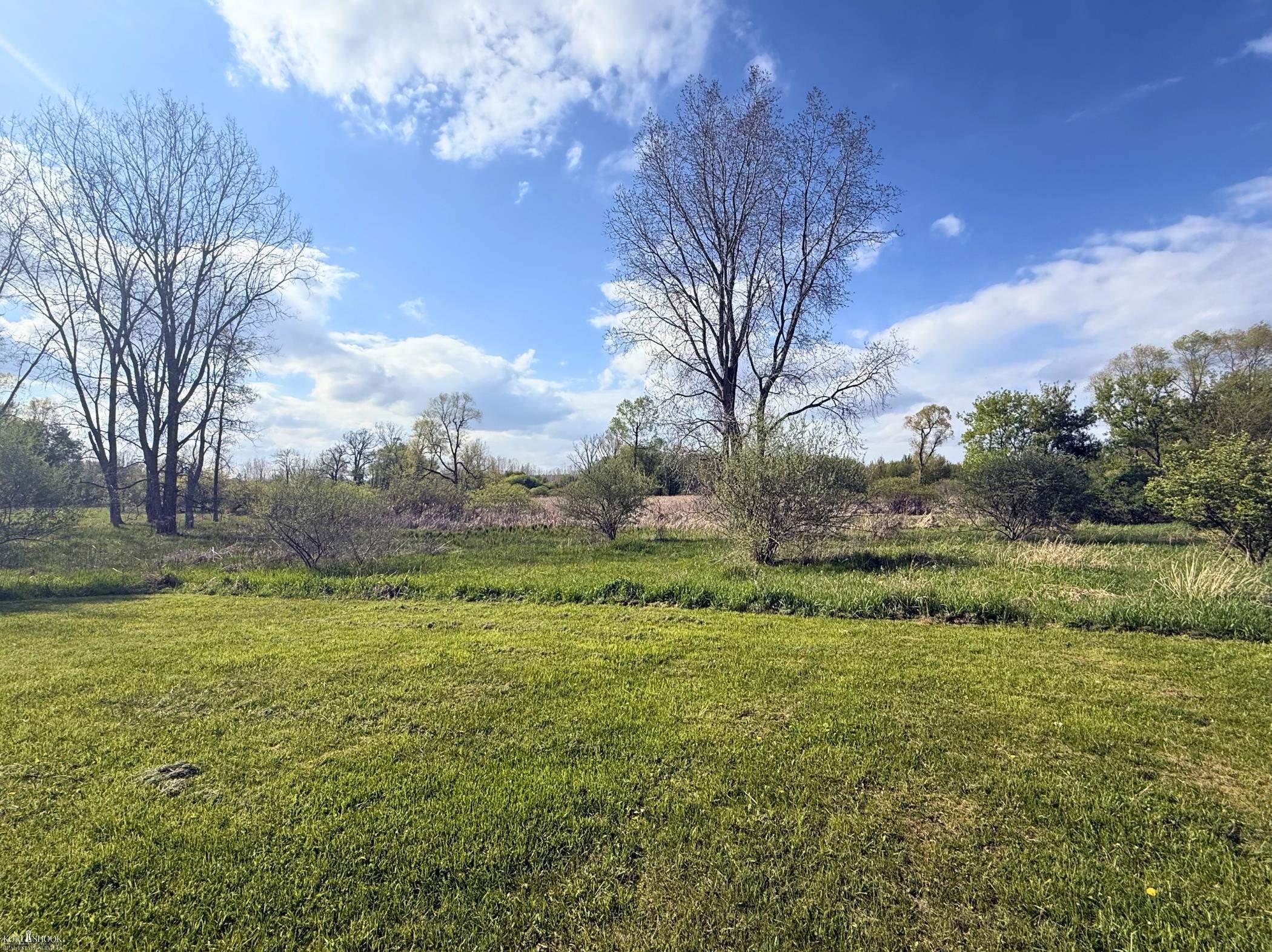 Vacant Land Tyrrell Road Owosso, MI 48867 - Photo 6 of 12