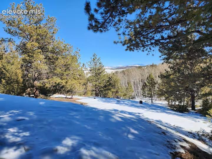 1173 Bellows Road Hartsel, CO 80449 - Photo 17 of 17