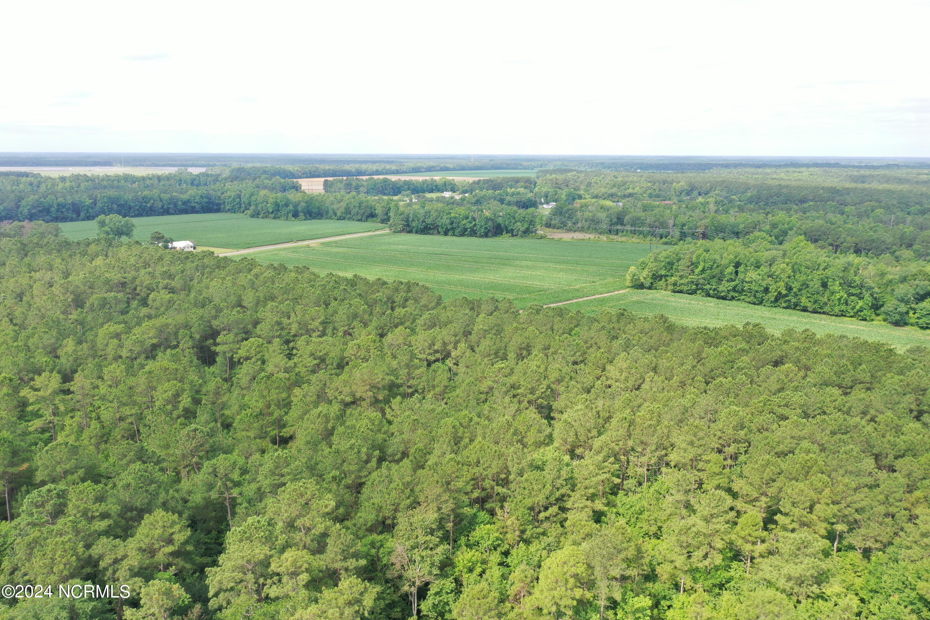 Tbd Pelham Road Watha, NC 28478 - Photo 19 of 25 19