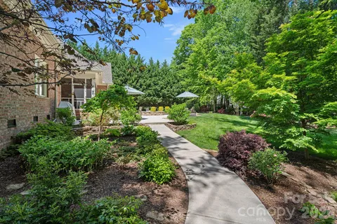 a view of a garden with plants and large trees