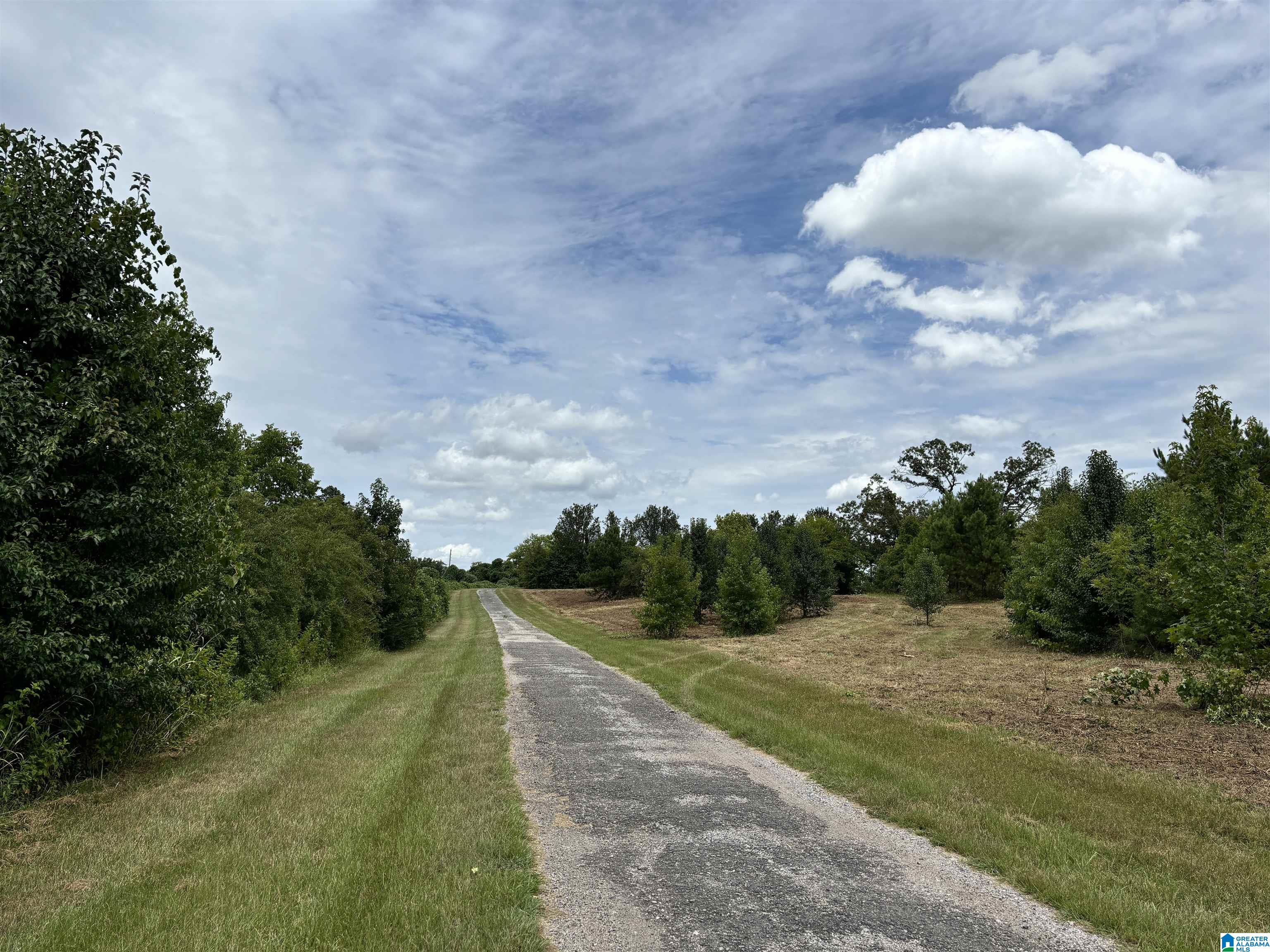 8988 Bagley Road, Unit 1 Dora, AL 35062 - Photo 3 of 8