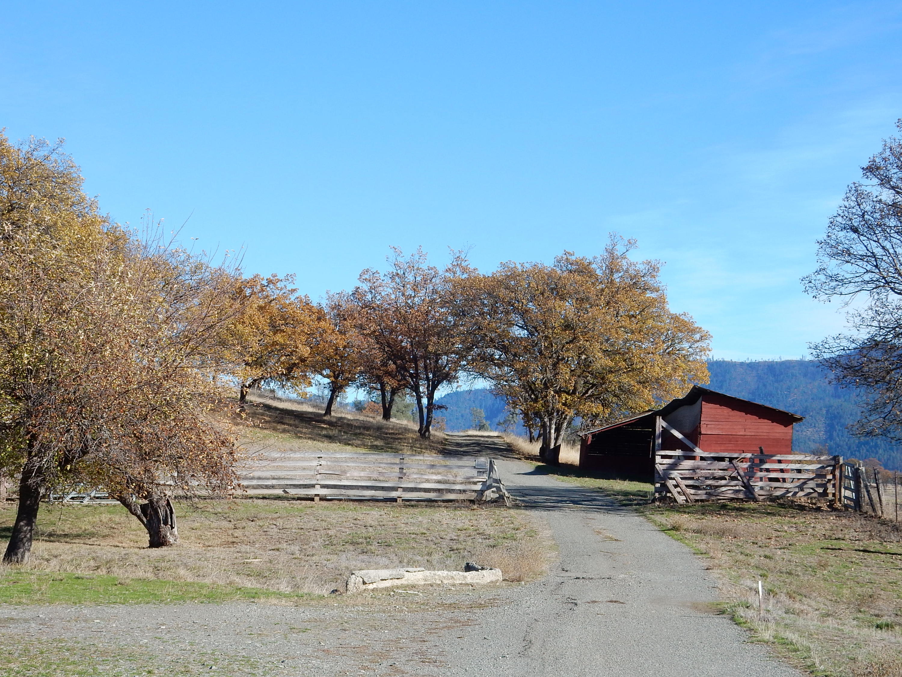 1500 Hyampom Road Hayfork, CA 96041 - Photo 20 of 35