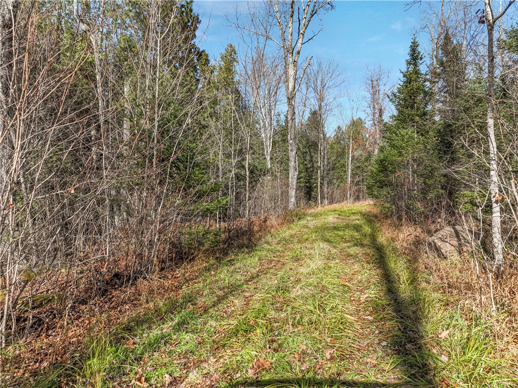 23274 Kubley Road Glidden, WI 54527 - Photo 49 of 59