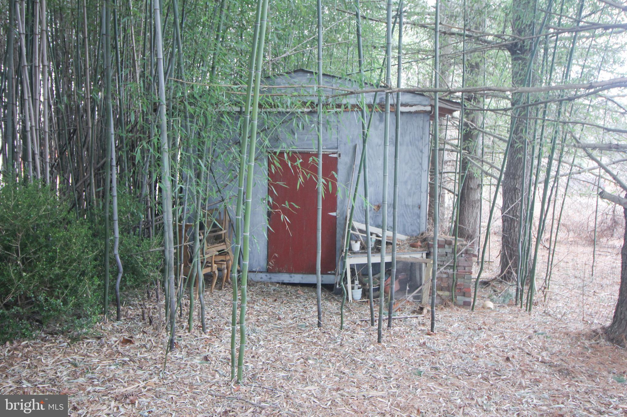 160 Funk Road Port Deposit, MD 21904 - Photo 7 of 51 a view of a backyard with a trees
