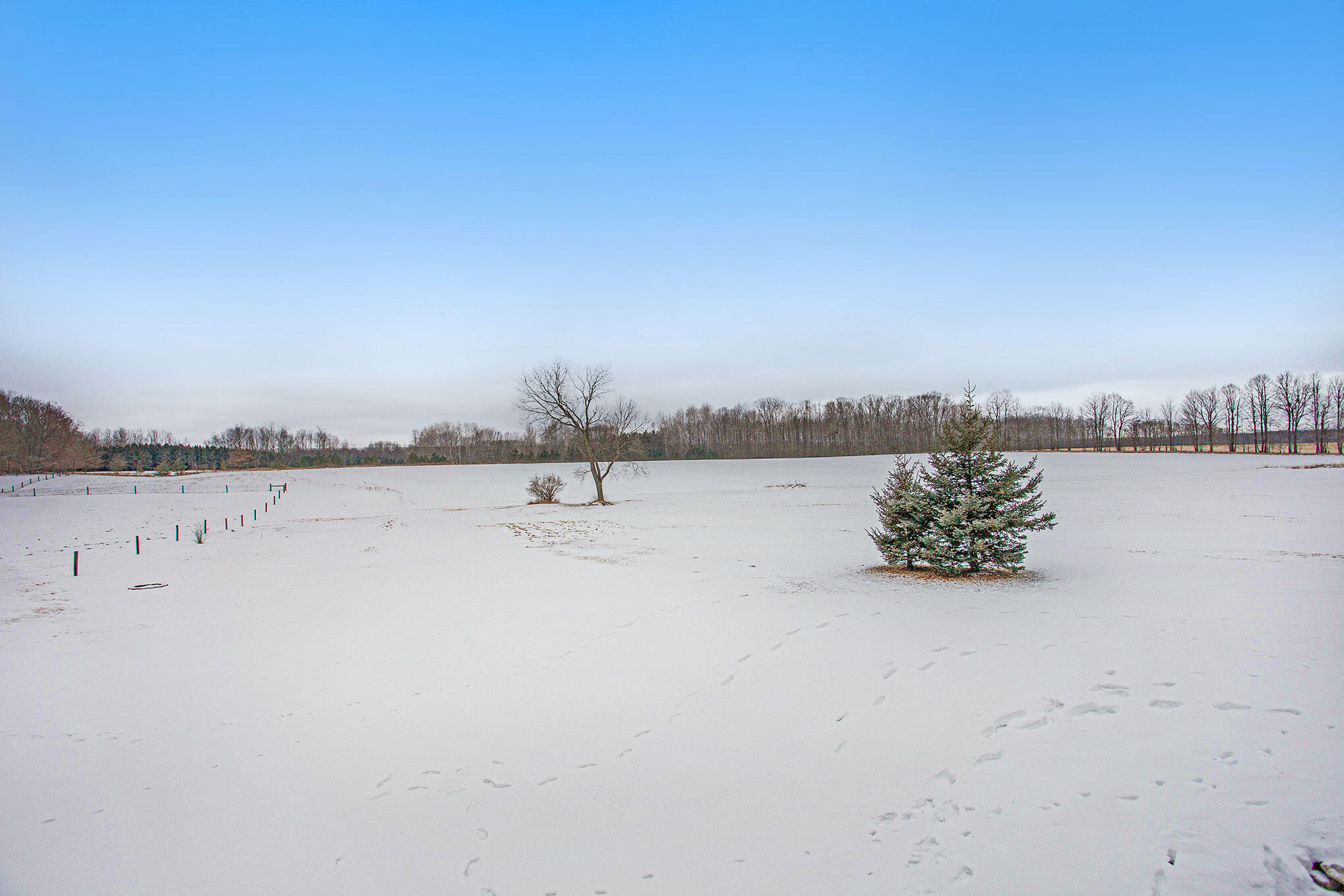 10297 7 Mile Road Evart, MI 49631 - Photo 43 of 67 _MG_6073