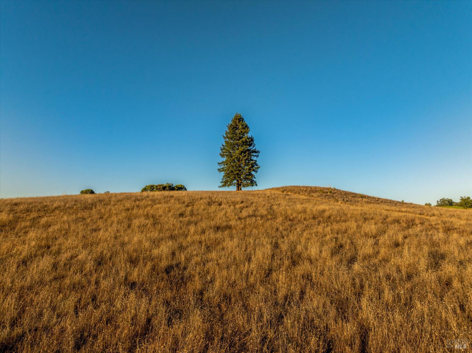 5291 Sonoma Mountain Road Santa Rosa, CA 95404 - Photo 22 of 33