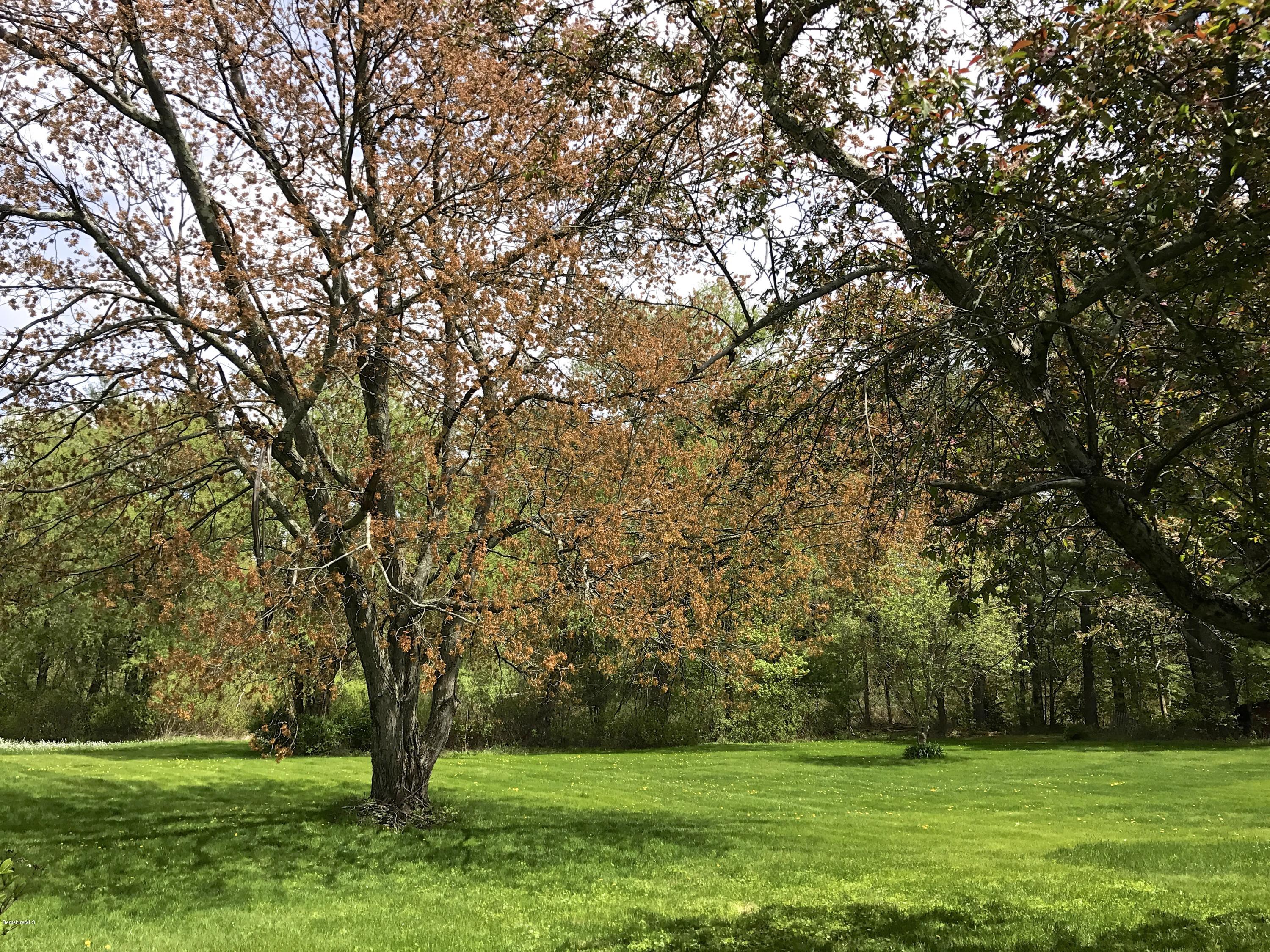 59 Salisbury Road Sheffield, MA 01257 - Photo 11 of 45 a huge green field with lots of trees