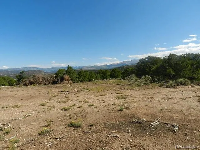 a view of a dry yard with wooden fence