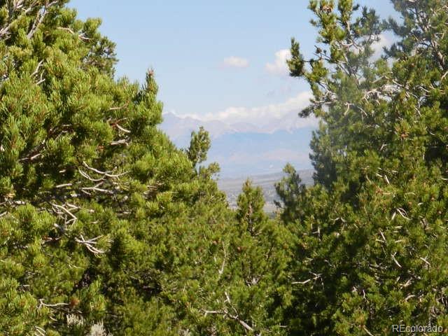 8-9 Mountain Rdg Lane San Luis, CO 81152 - Photo 23 of 29 a picture of a tree