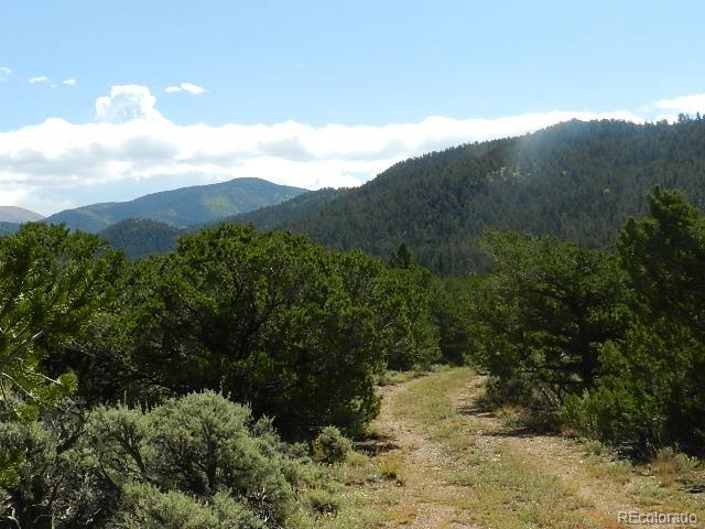 8-9 Mountain Rdg Lane San Luis, CO 81152 - Photo 25 of 29 a view of a yard with a tree