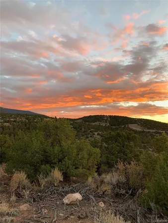 a view of a city with lush green forest