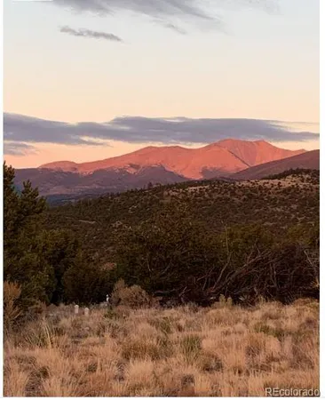 a view of a mountain with a snow in a forest