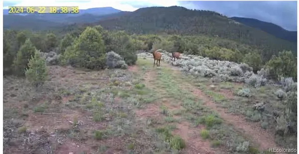 a view of a large mountains with green field and mountains
