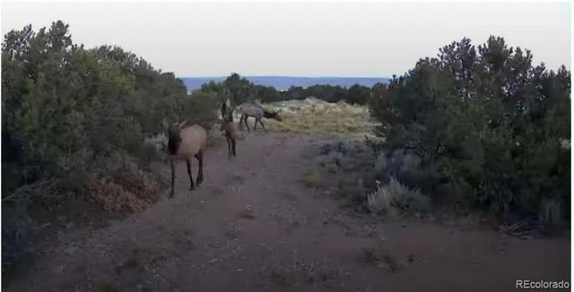 a view of a yard with a table and a chairs