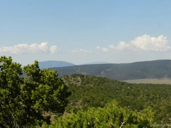 a view of a bunch of trees