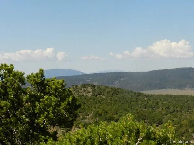 a view of a bunch of trees