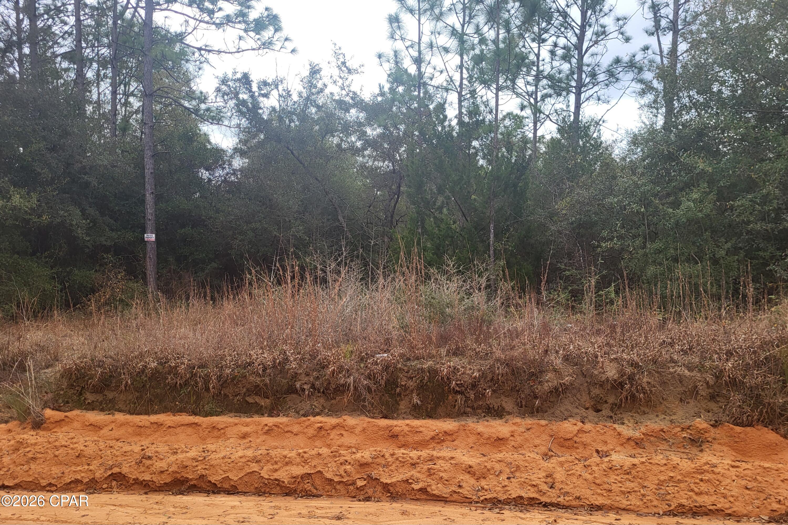 0 Chason Road Marianna, FL 32448 - Photo 2 of 6 Gallery Image 2